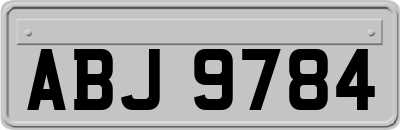 ABJ9784