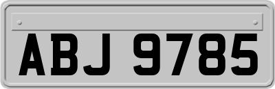 ABJ9785