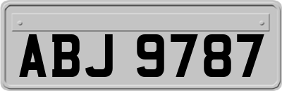 ABJ9787