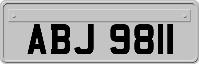 ABJ9811