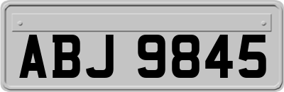 ABJ9845