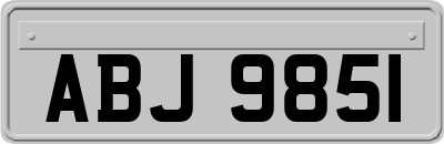 ABJ9851