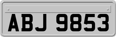 ABJ9853
