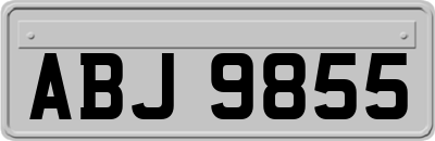 ABJ9855