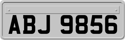 ABJ9856