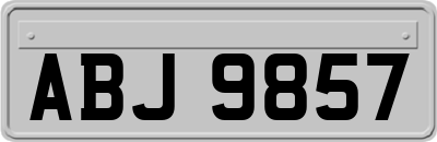 ABJ9857