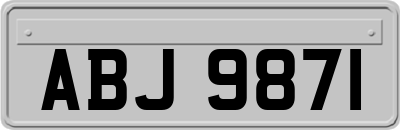 ABJ9871