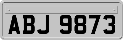 ABJ9873
