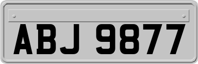ABJ9877