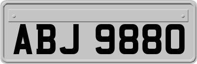 ABJ9880