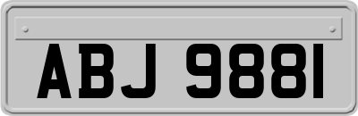 ABJ9881