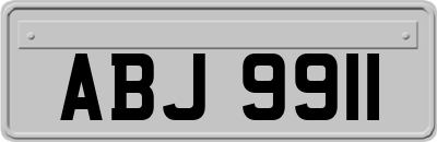 ABJ9911