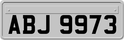 ABJ9973