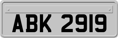 ABK2919