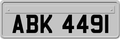 ABK4491