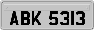 ABK5313
