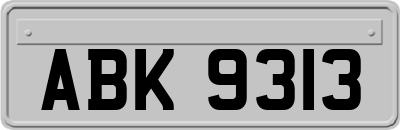 ABK9313
