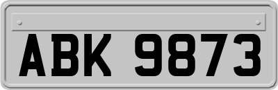 ABK9873