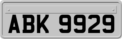 ABK9929