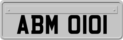 ABM0101