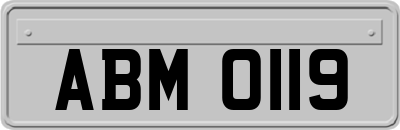 ABM0119