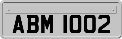 ABM1002