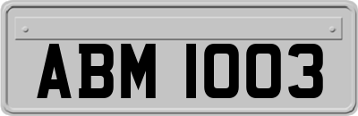 ABM1003