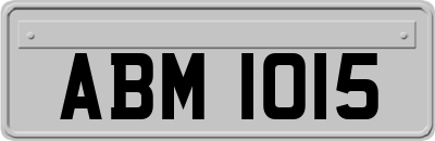 ABM1015