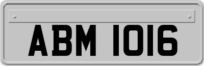 ABM1016
