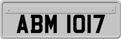 ABM1017