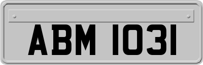 ABM1031