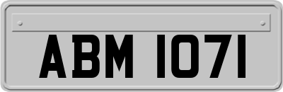 ABM1071