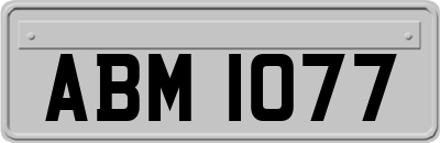 ABM1077
