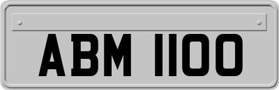 ABM1100