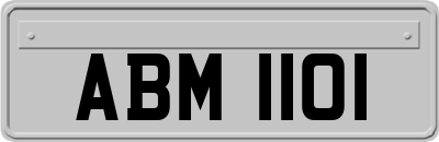 ABM1101