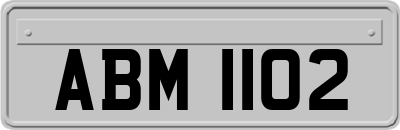 ABM1102