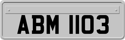ABM1103