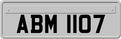 ABM1107
