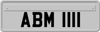 ABM1111