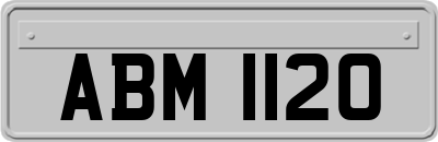 ABM1120