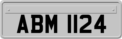 ABM1124