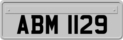 ABM1129