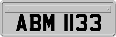 ABM1133