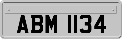 ABM1134