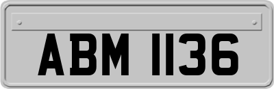 ABM1136