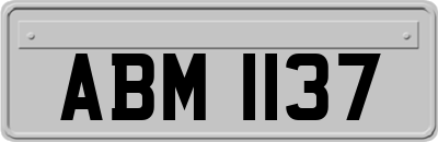 ABM1137