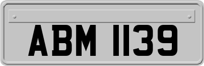 ABM1139