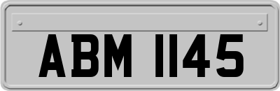 ABM1145