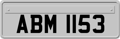 ABM1153