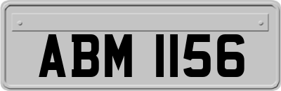 ABM1156